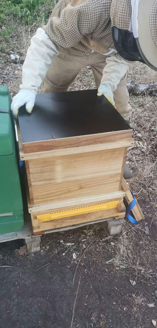 Ankunft unserer neuen Mitarbeiter Bild 2