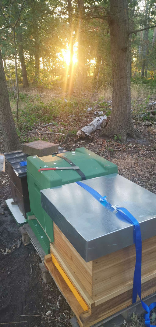 Ankunft unserer neuen Mitarbeiter Bild 3