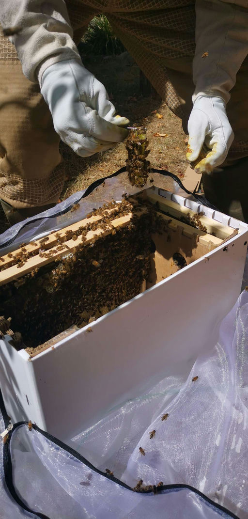 Ankunft unserer neuen Mitarbeiter Bild 5