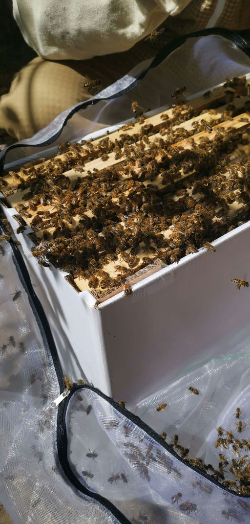 Ankunft unserer neuen Mitarbeiter Bild 6