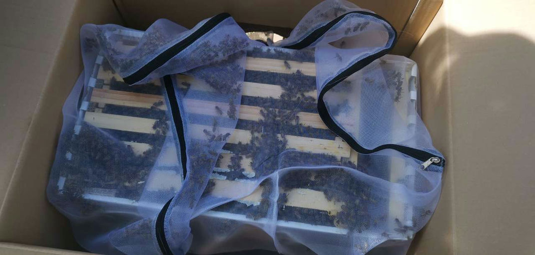 Ankunft unserer neuen Mitarbeiter Bild 7