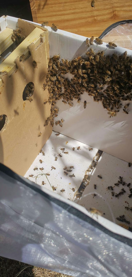 Ankunft unserer neuen Mitarbeiter Bild 8