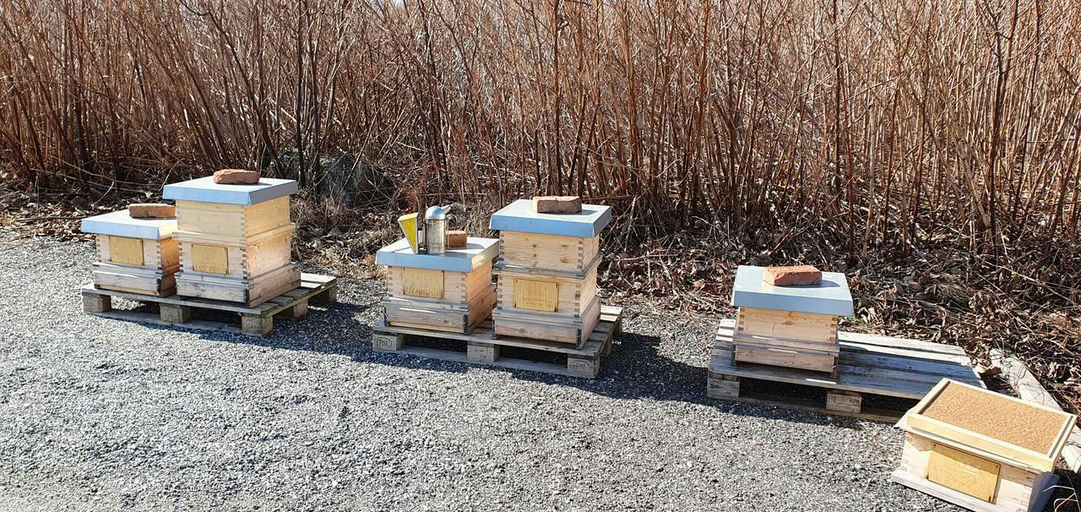 Futterkranzprobe und Durchsicht Bild 2