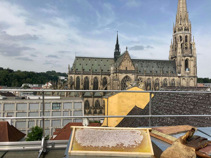 zweite Schleuderung am 20 Juni.