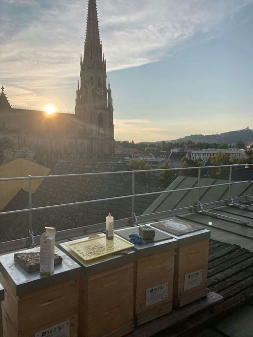 Füttern für den Winter und Varroa Behandlung