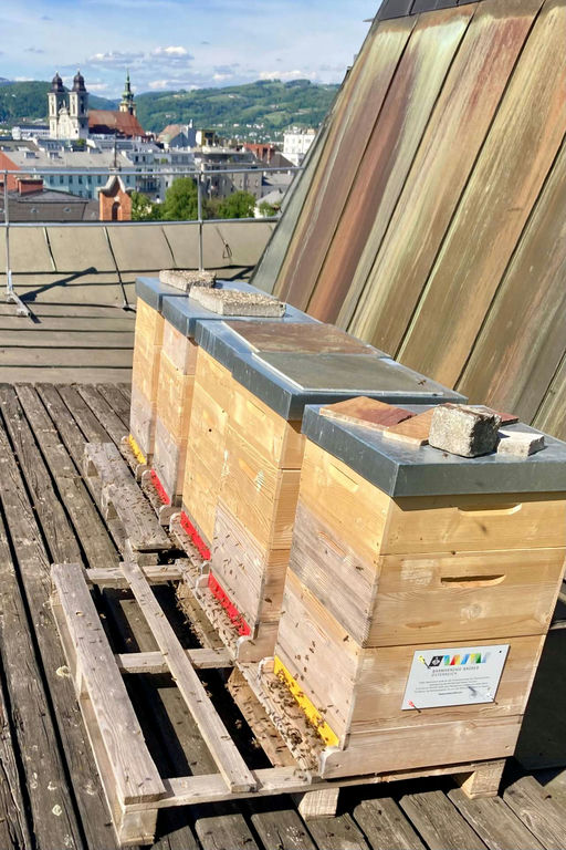 Honigräume aufgesetzt