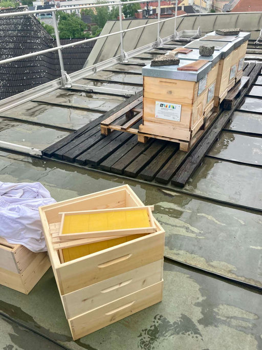 Honigräume aufgesetzt