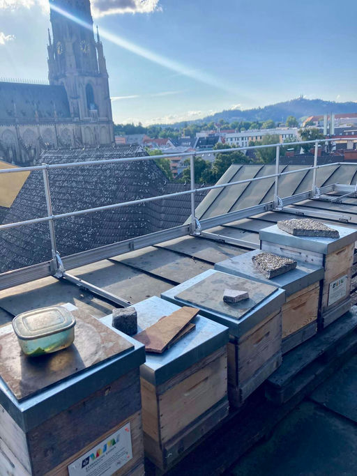 Ernte abgeschlossen, Füttern und Varroa Behandlung