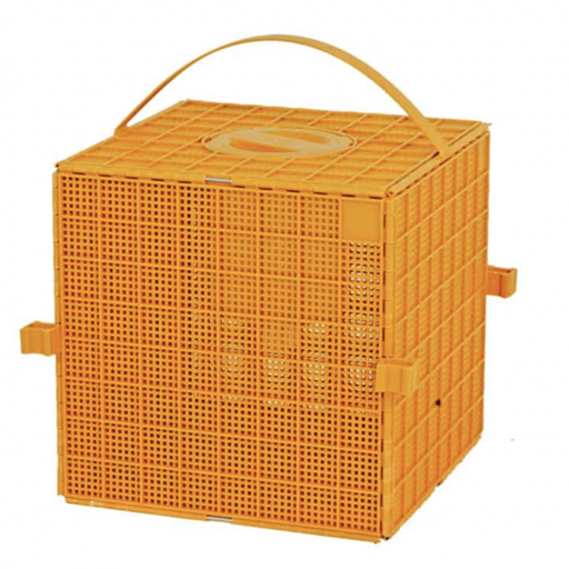 Die neuen Kunstschwärme sind da