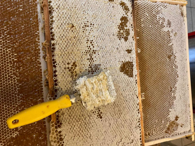 Honigernte über den Dächern von Linz (und Schwarm eingefangen)