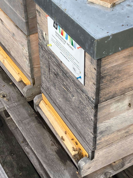 Vorbereitungen für Einwinterung