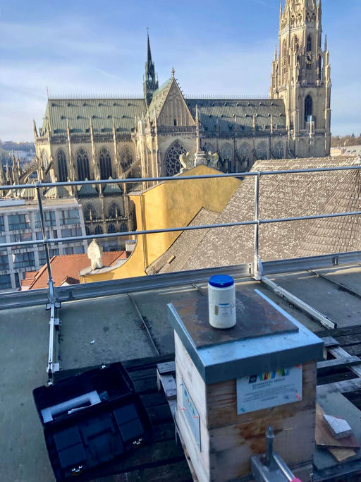 Brutpause nützen für Restentmilbung