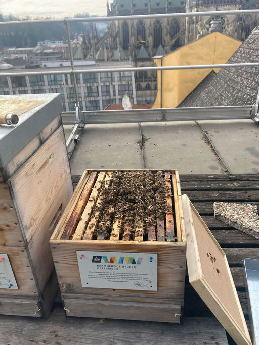 Frühlingserwachen...