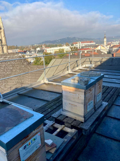 erste Restentmilbung