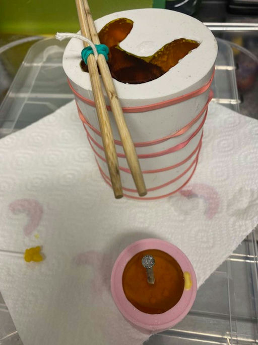 Winter:Ruhe in der Vegetation und am Bienenstand Bild 3