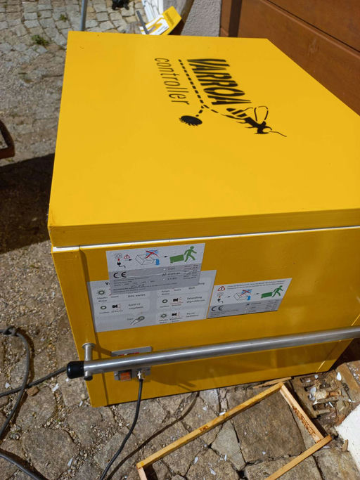 Ardex Bienen im Juli!