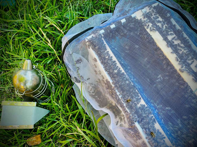 Wie kommen die Bienen in ihr neues Haus?