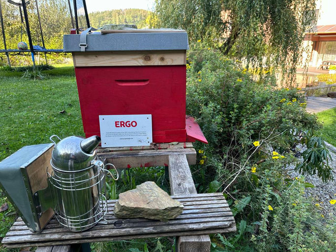 Neue Königin Bild 1