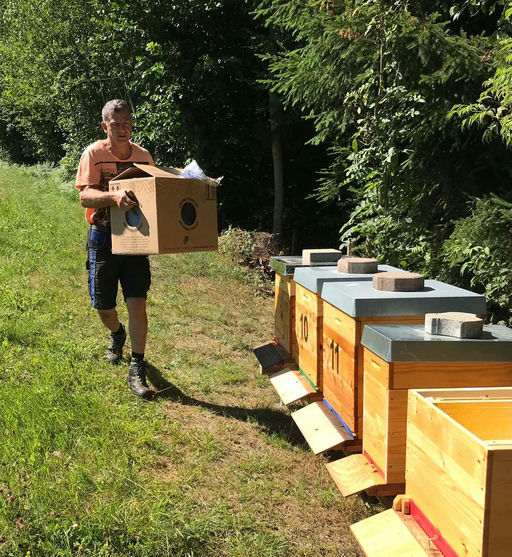 Endlich sind die Bienen da!