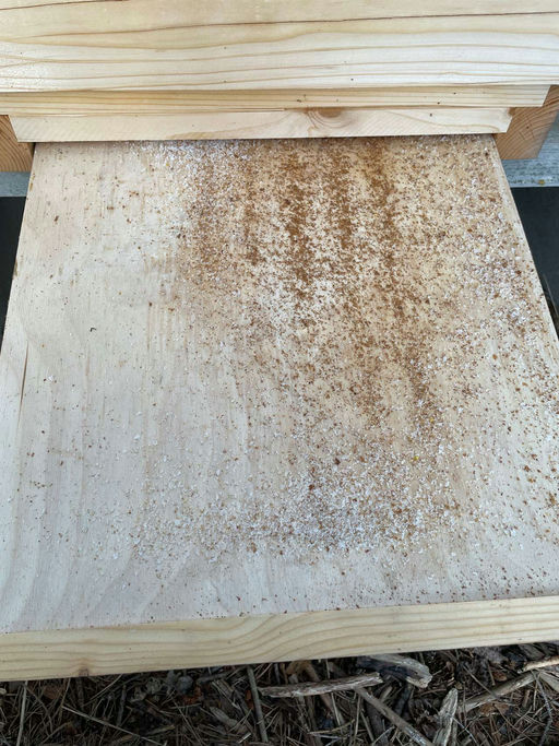 Gesundheitscheck Bild 1