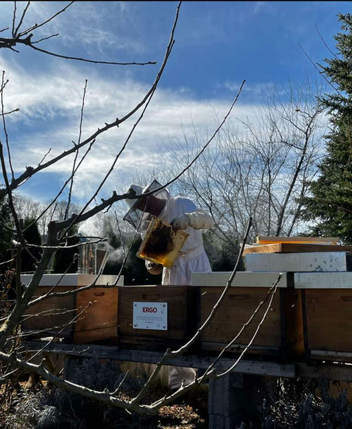 Futterkontrolle Bild 1