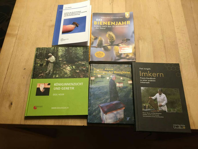 Studieren vor dem Probieren