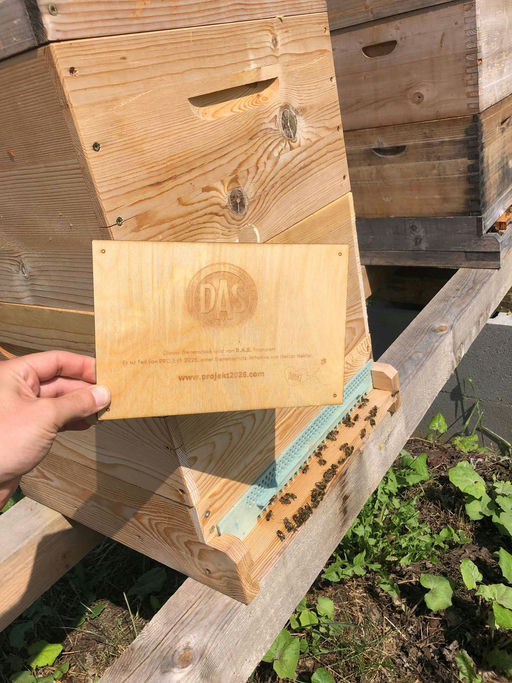 DAS Plakette ist angekommen