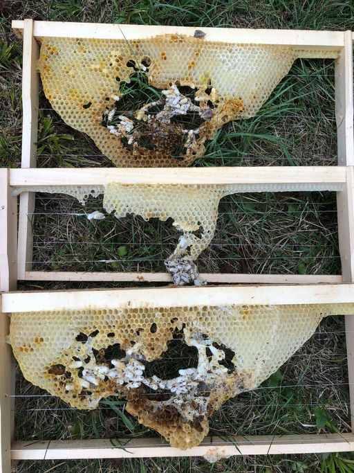 Manchmal ist es traurig