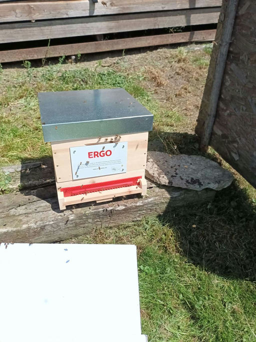 Herzlichen Dank 🐝 Bild 1