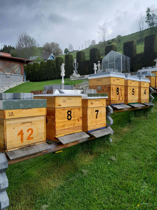 1. Honigraum aufsetzen