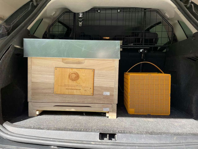 Die Projektbienen sind Angekommen!