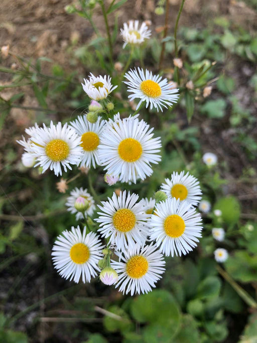 Letzte Arbeien vor der Winterpause