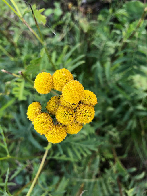 Letzte Arbeien vor der Winterpause Bild 1