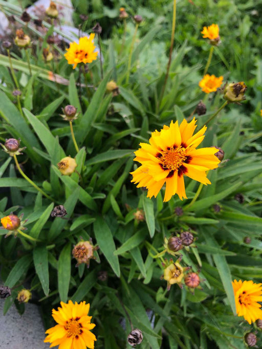 Letzte Arbeien vor der Winterpause Bild 2