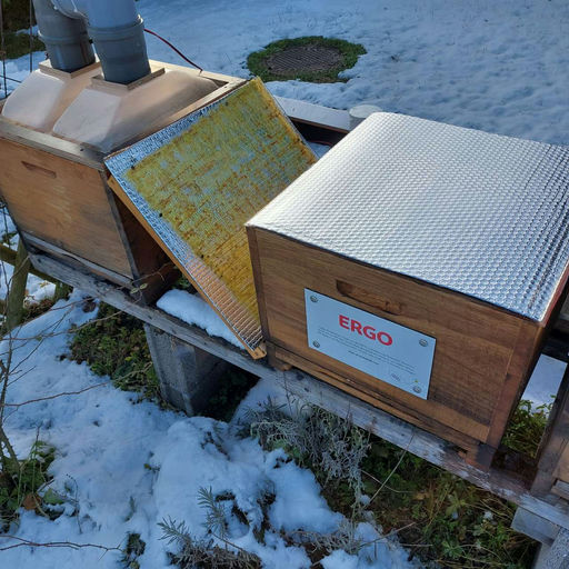 Varoabehandlung Bild 1