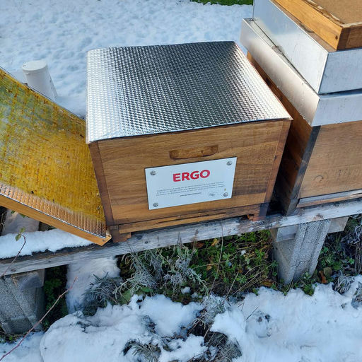 Varoabehandlung Bild 2