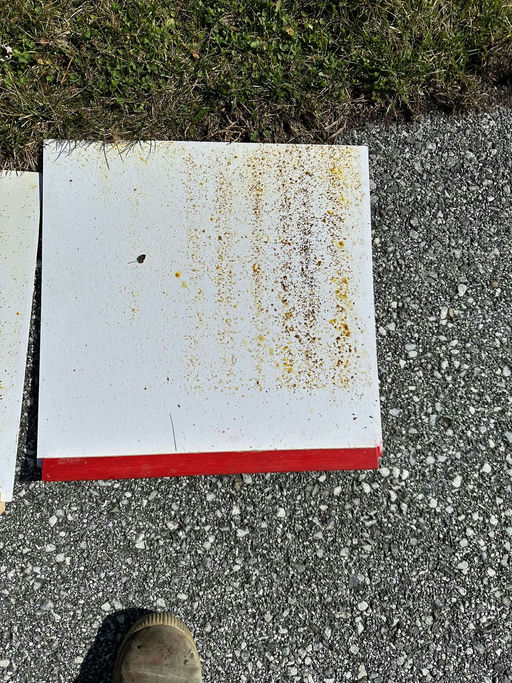 Schieden im Frühjahr