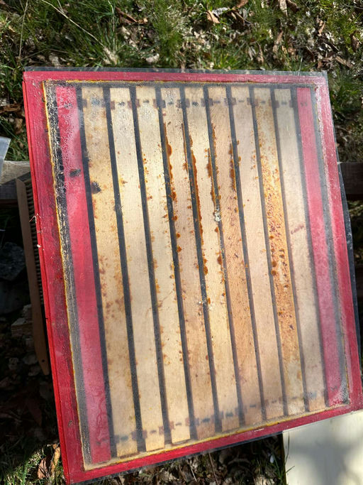 Schieden im Frühjahr Bild 3