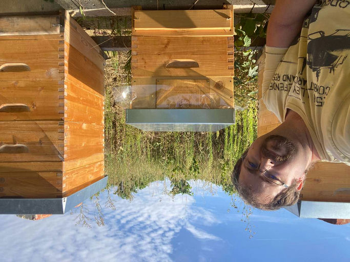 Juhu die Bienen sind da!