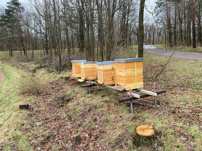 Meine Erste Wanderung