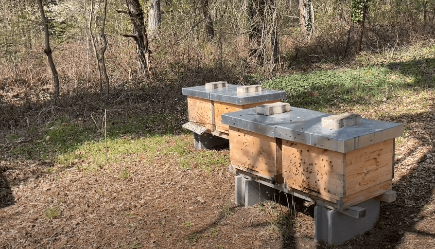 Jetzt geht die Saison wieder los :)