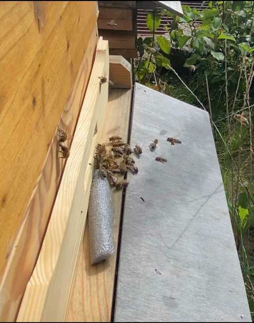 Warmes Wetter im Oktober