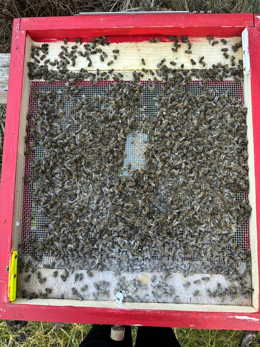 Leider schlechte Nachrichten