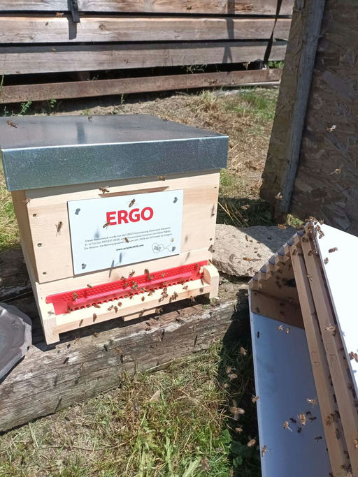 #Projekt2028 - Ich bin dabei!