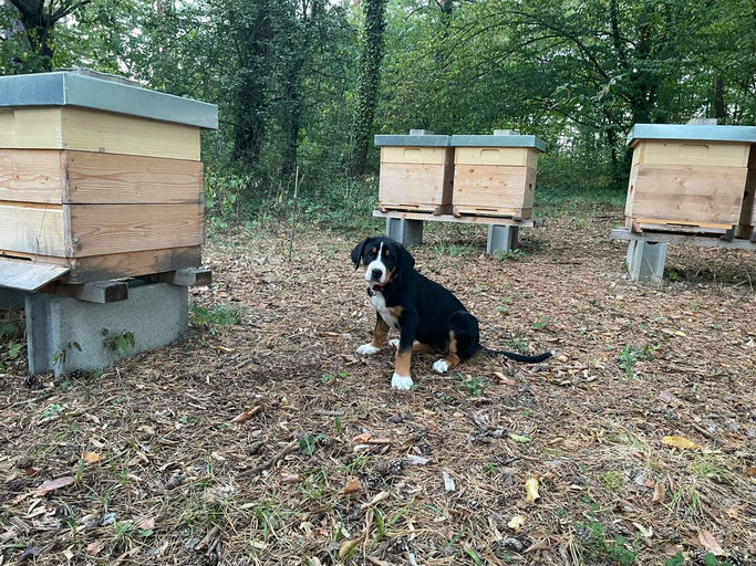 Der Varrora auf der Spur