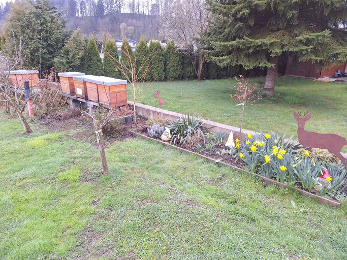 Erster Honigraum Bild 1