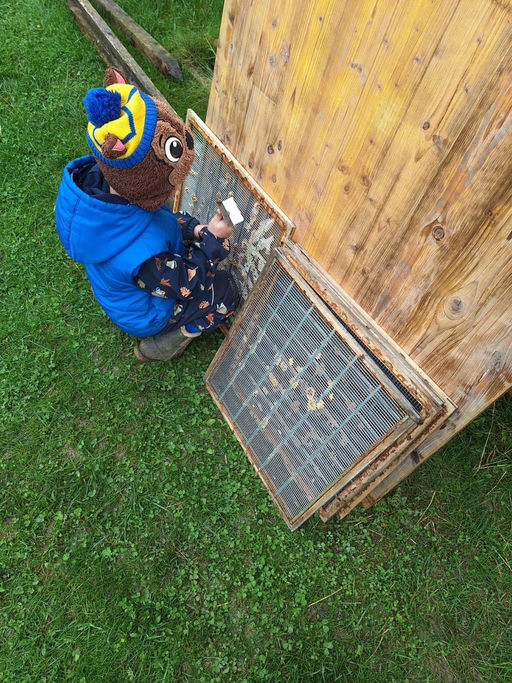 Erster Honigraum Bild 3