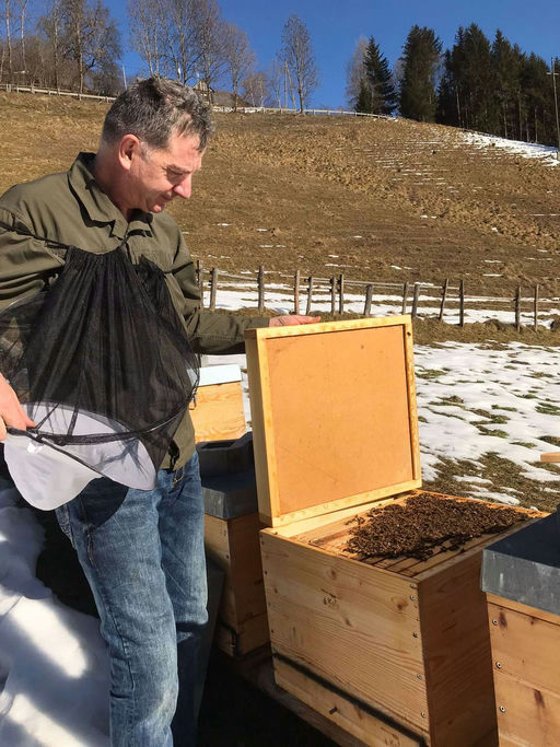 1. Durchsicht im neuen Jahr