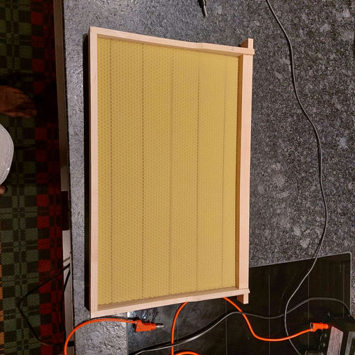 Ich bin dabei ! Danke an die ERGO Versicherung.