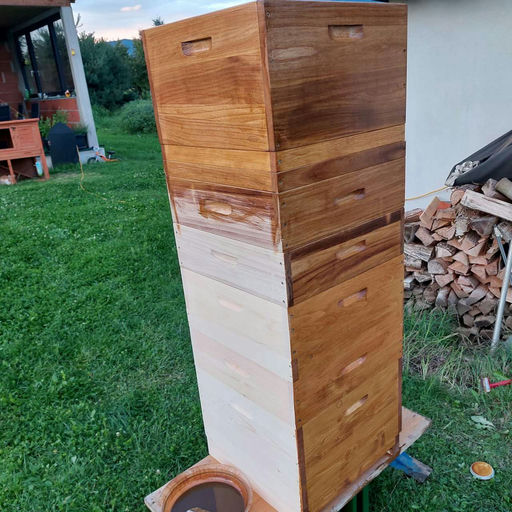 Ich bin dabei ! Danke an die ERGO Versicherung. Bild 2